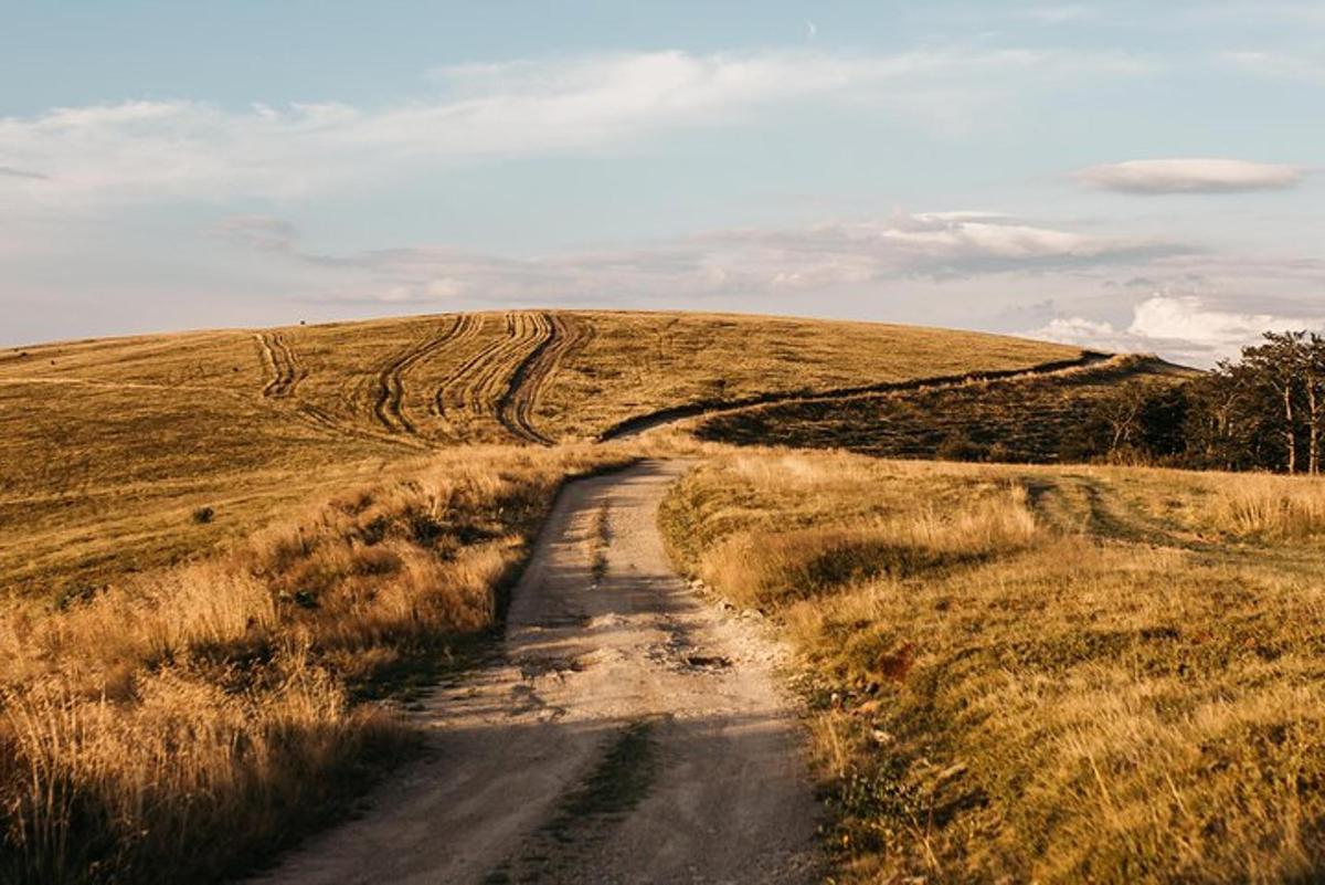 un camino de tierra en medio de un campo
