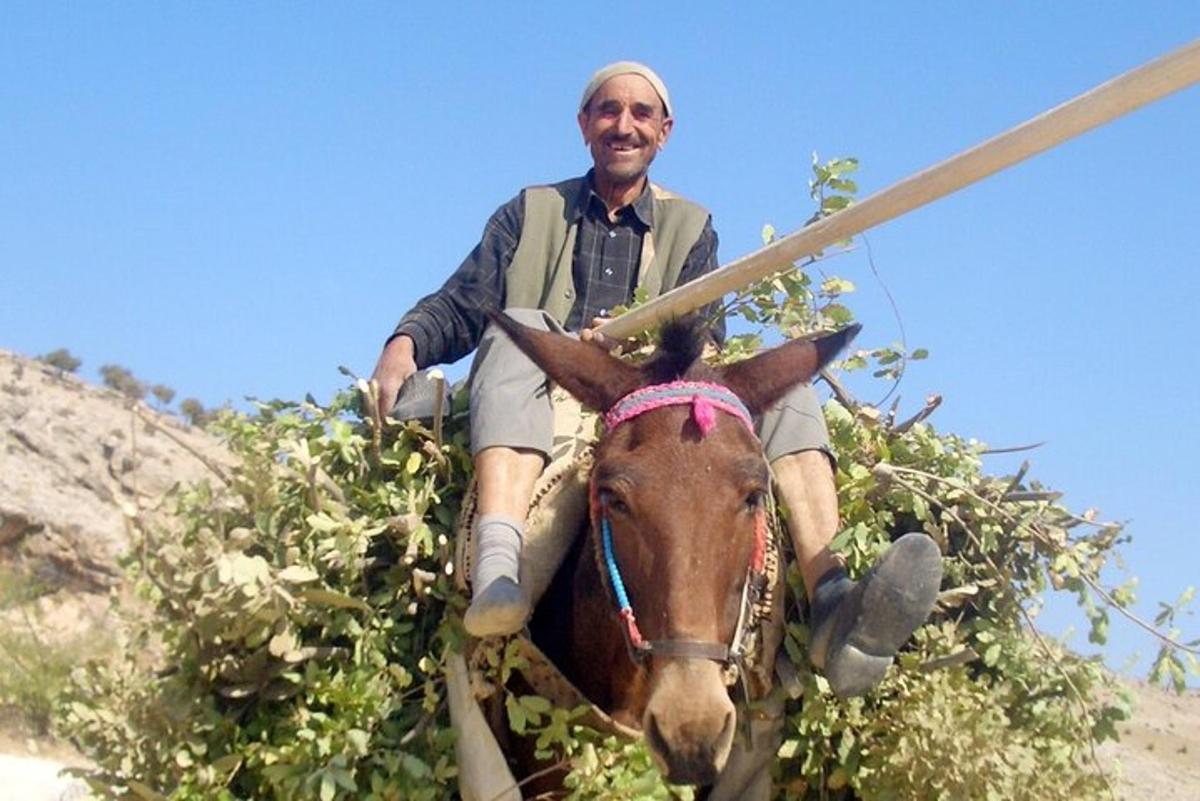 un hombre montado a caballo con un bastón en la espalda
