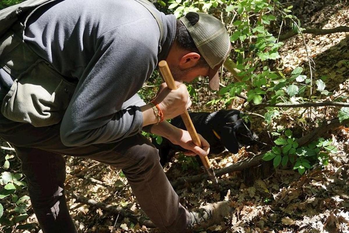 un uomo tiene in mano un bastone nel bosco