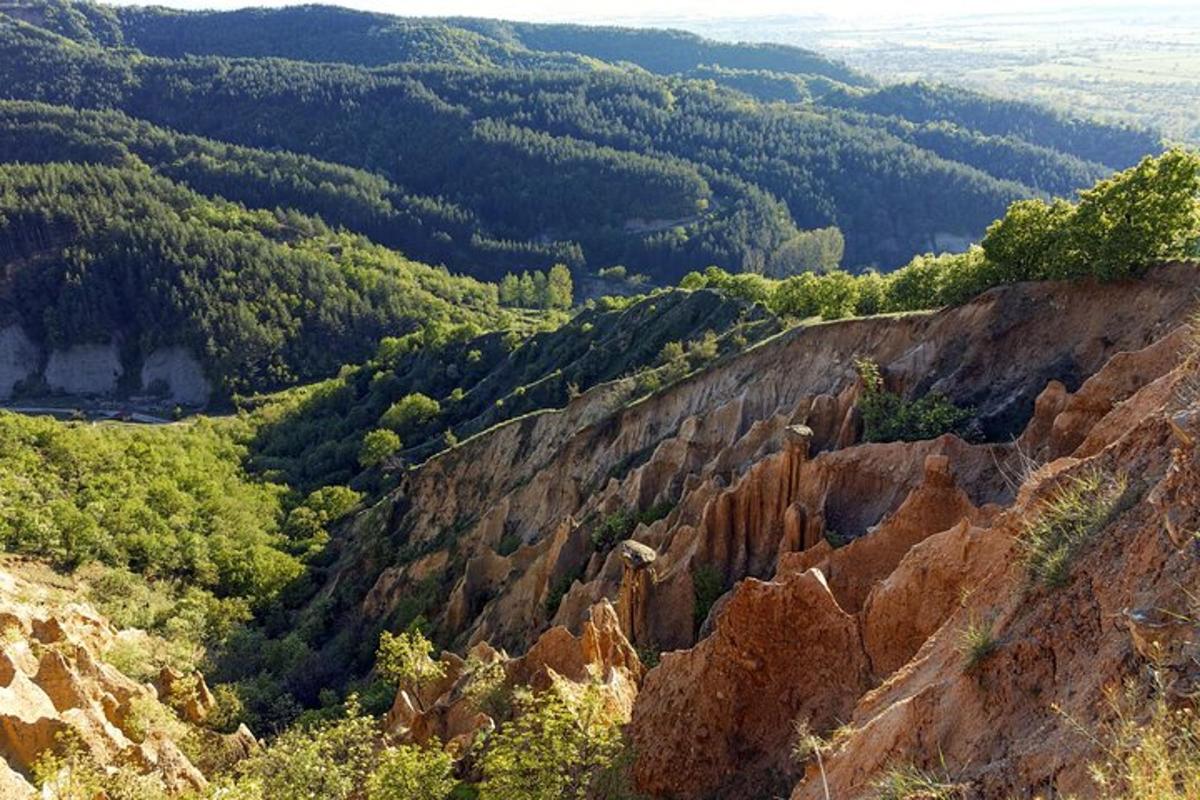 una vista di una montagna con alberi e rocce