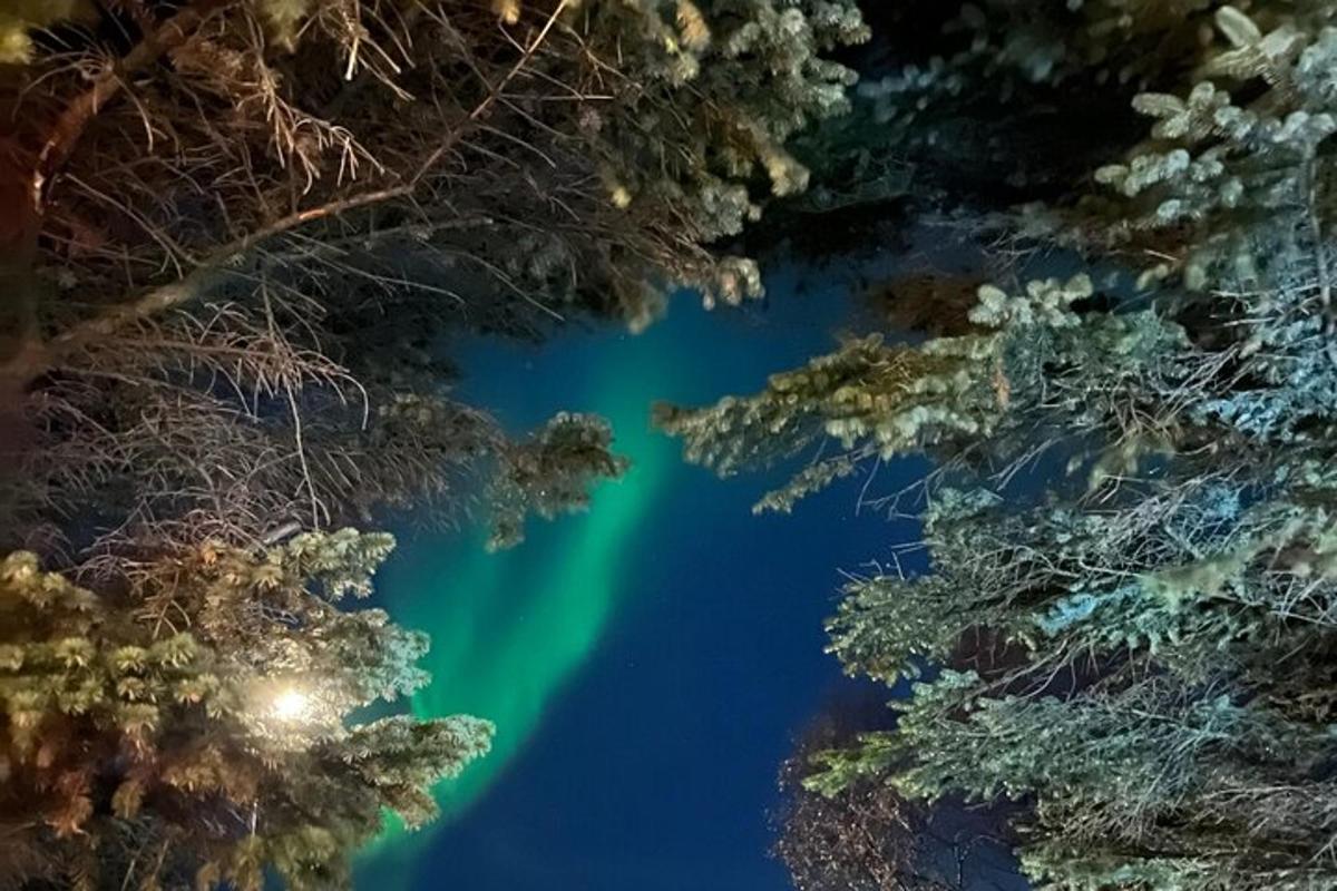 an aerial view of the northern lights in the water