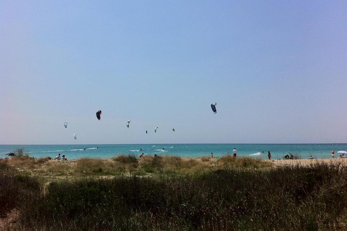 a group of people flying kites on the beach