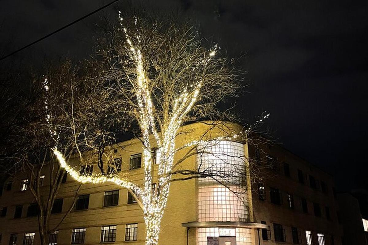 un albero decorato con luci davanti a un edificio