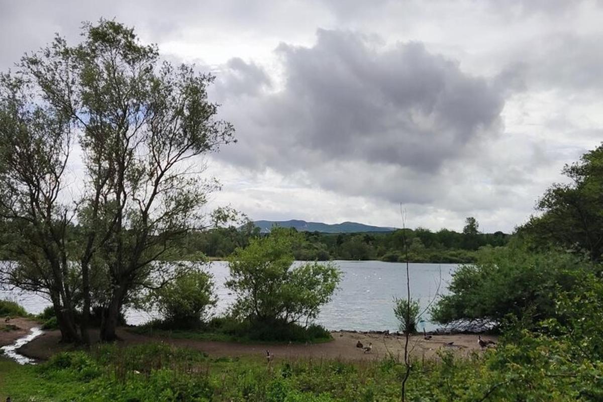 uno specchio d'acqua con alberi e un cielo nuvoloso