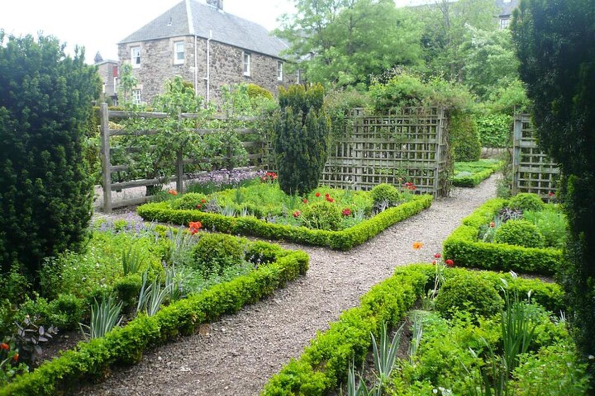 un giardino con varie piante e una casa sullo sfondo