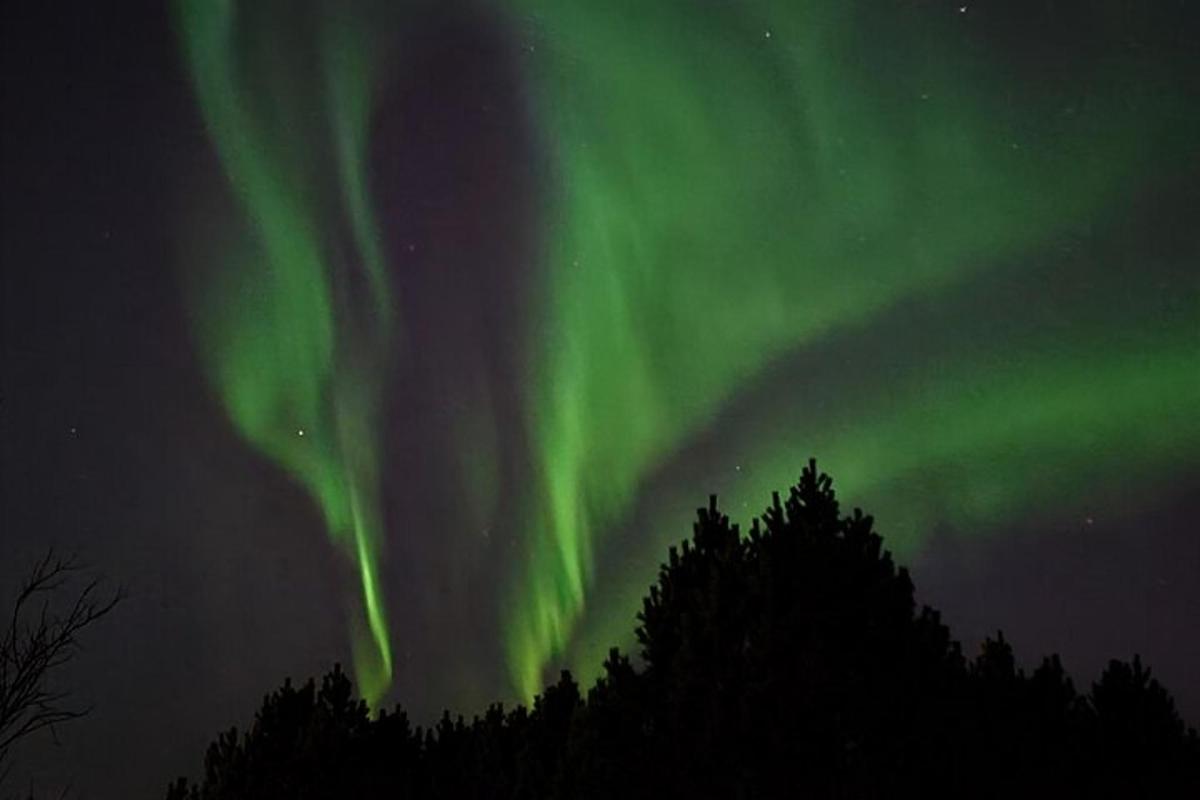 mynd af norðurljósum á himninum