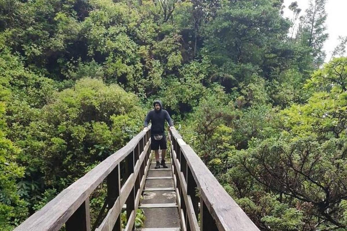 a man standing on a bridge in the forest