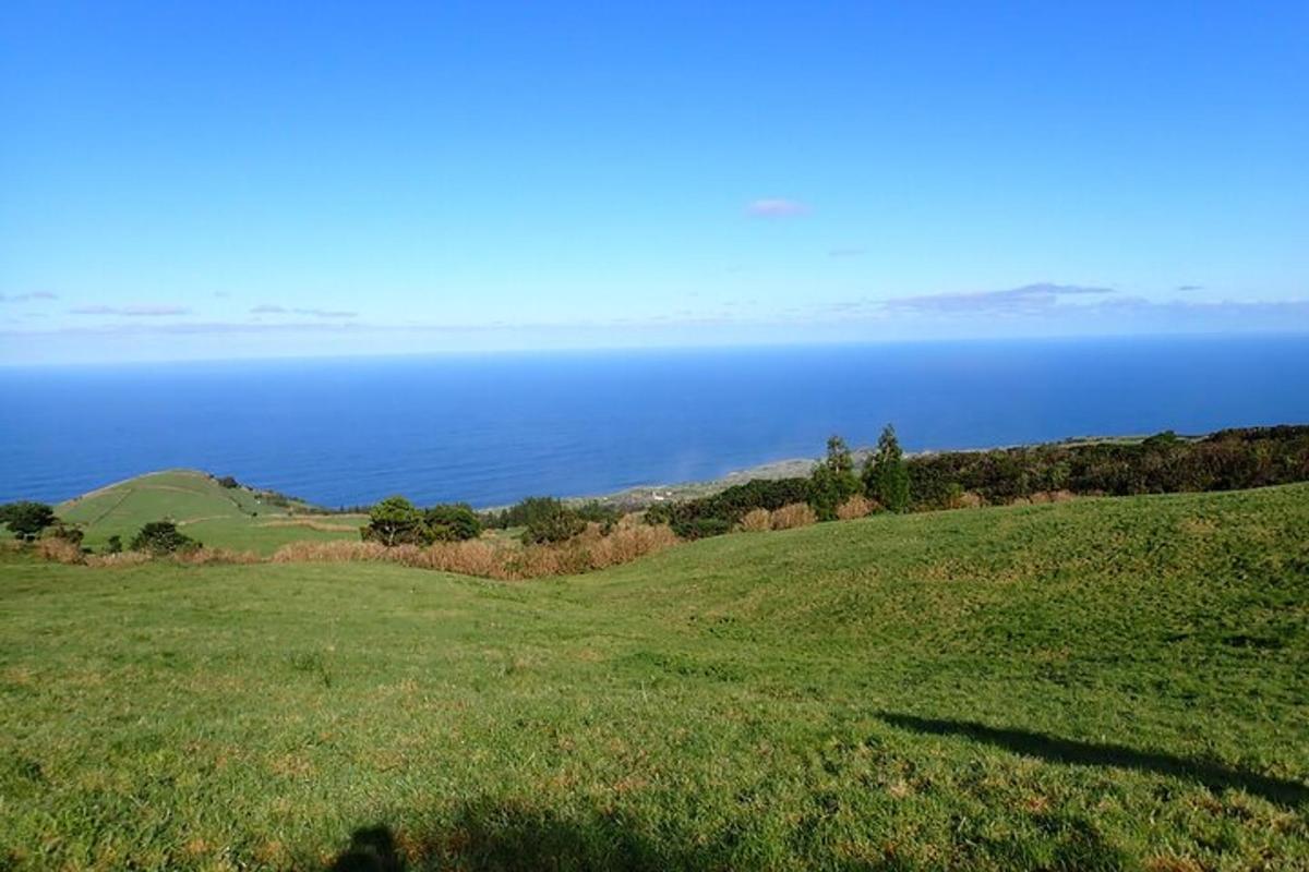 a green field with the ocean in the background