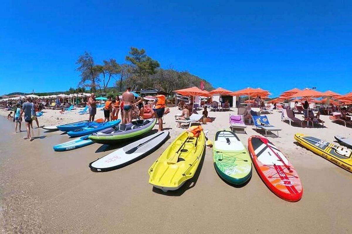 a group of surfboards lined up on a beach