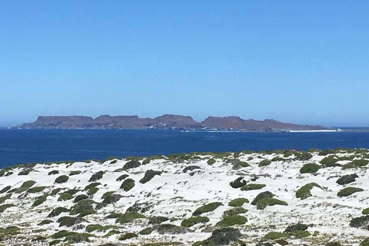 een besneeuwd veld met de oceaan en de bergen op de achtergrond