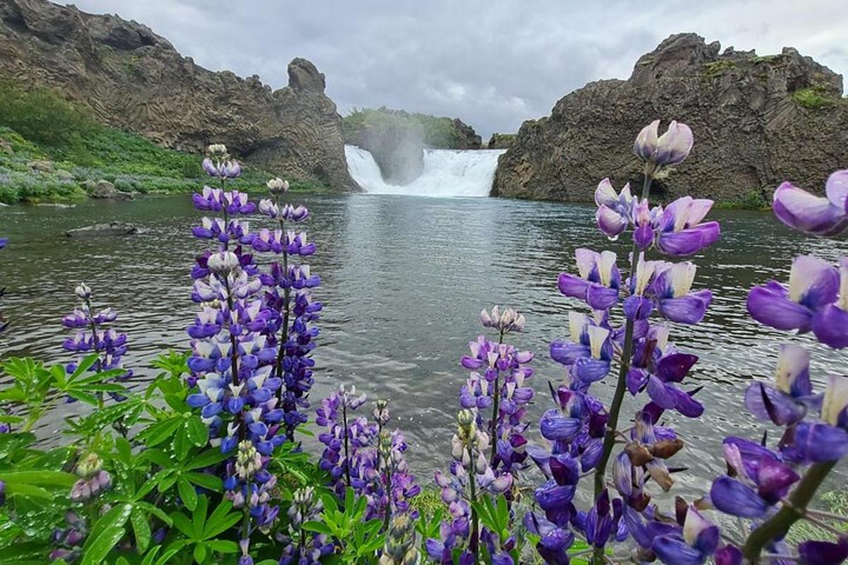 en bukett lilla blomster foran en foss
