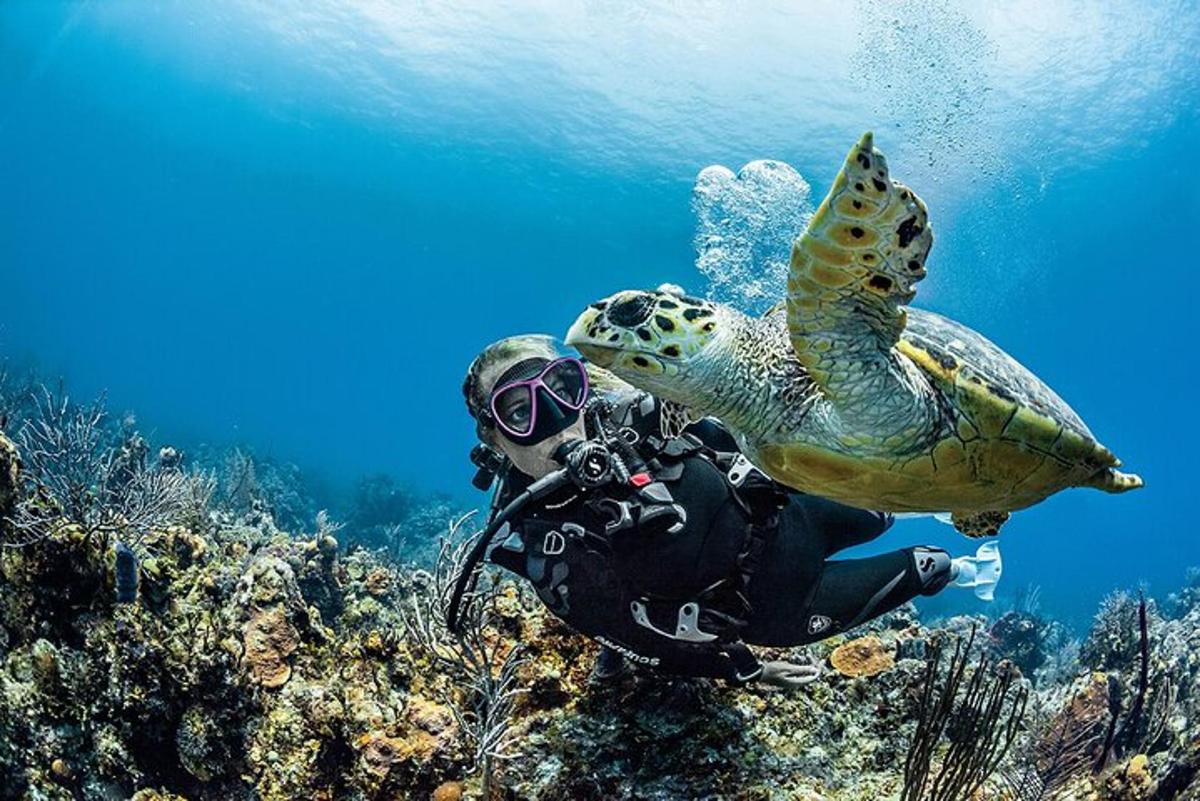 oseba s kamero in želvo na oceanu