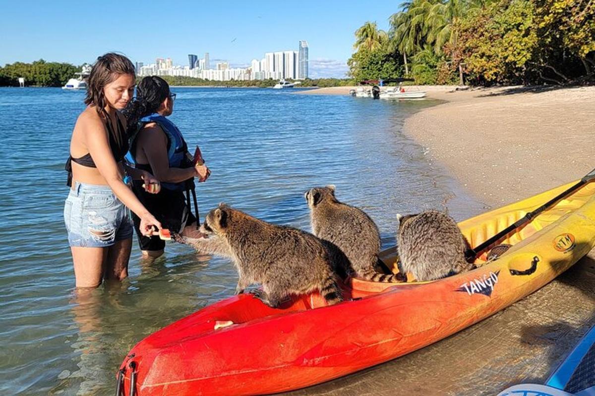 um grupo de suricatos em um barco vermelho na água