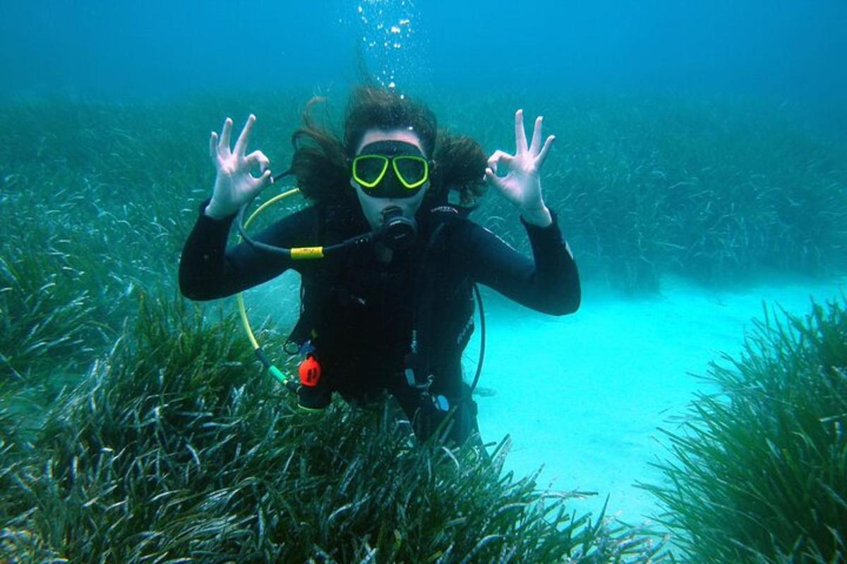a person in a diving suit and goggles in the water