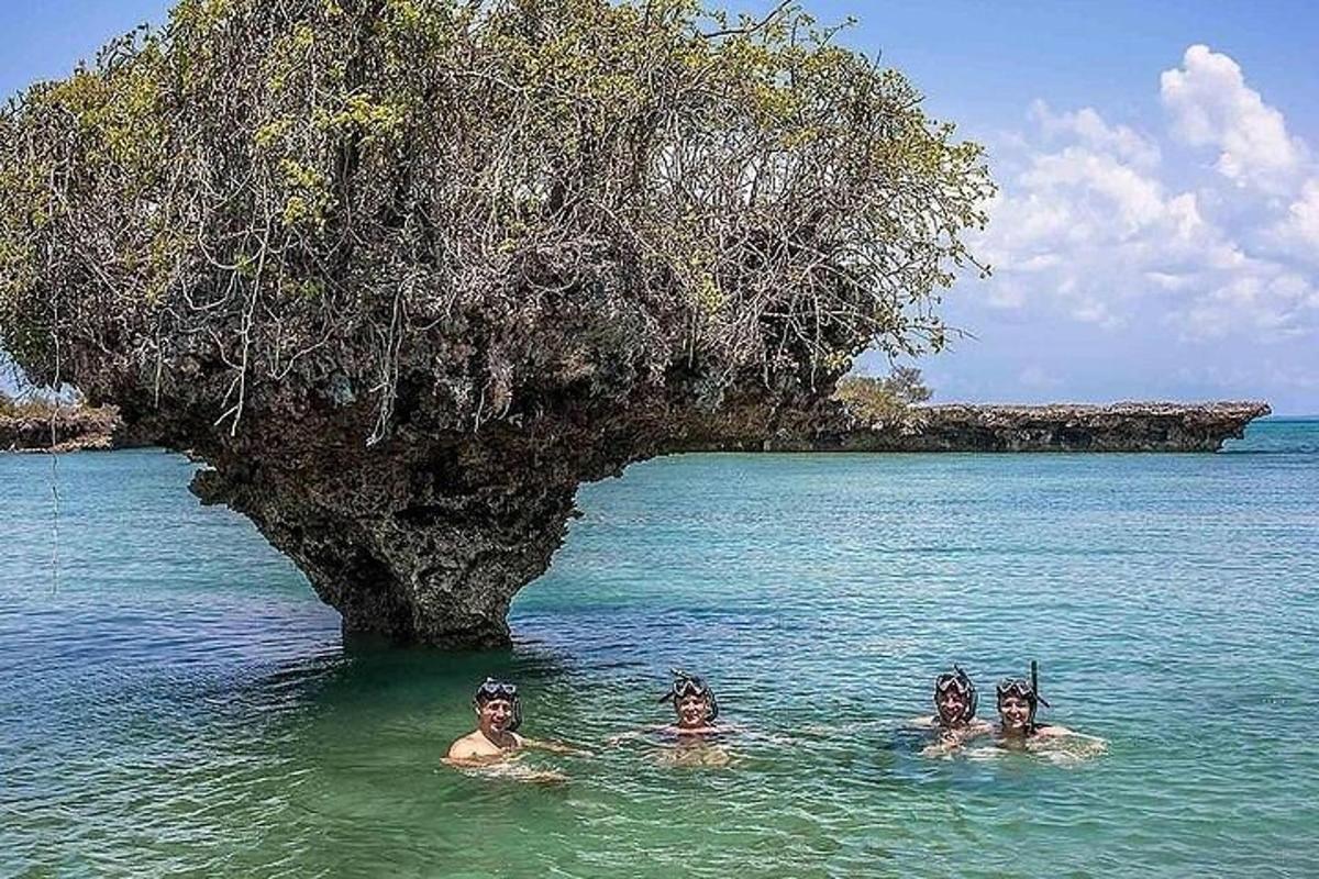 sekumpulan orang berenang di dalam air berhampiran sebuah pulau