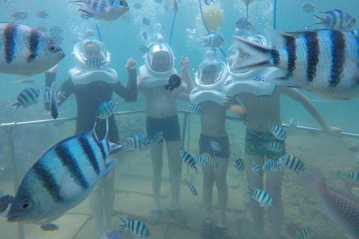 a group of children in an aquarium looking at fish