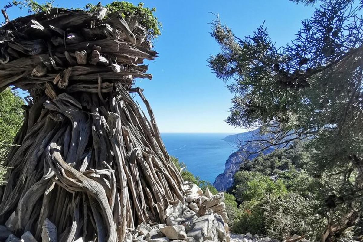 Foto dell’attrazione numero 2
