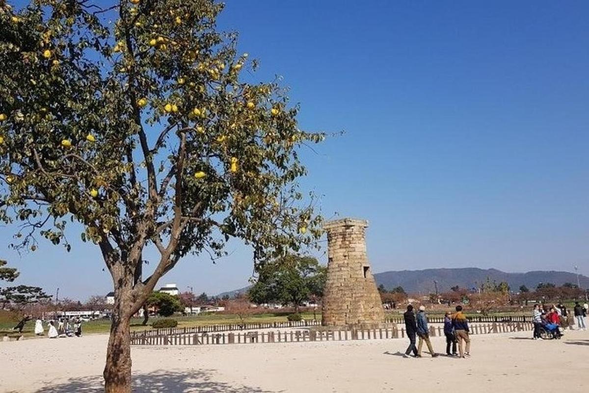 un gruppo di persone in piedi accanto a un albero