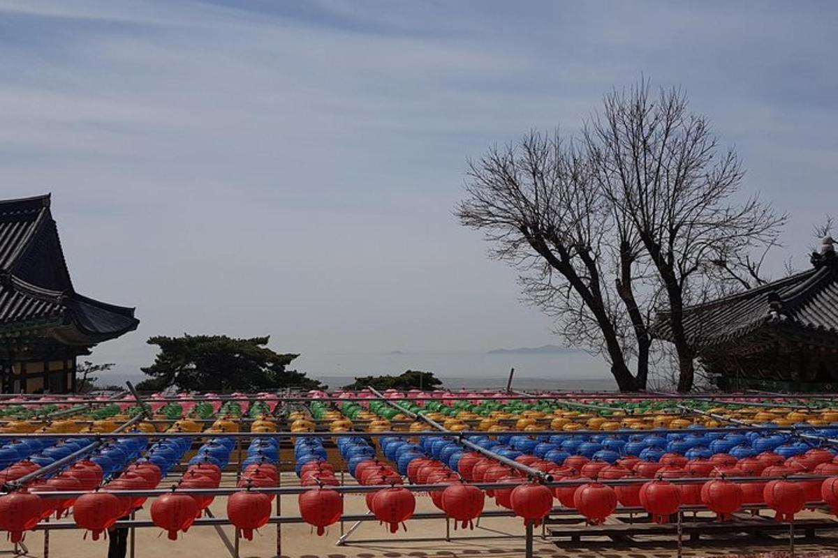 una fila di ombrelli rossi e blu in un parco
