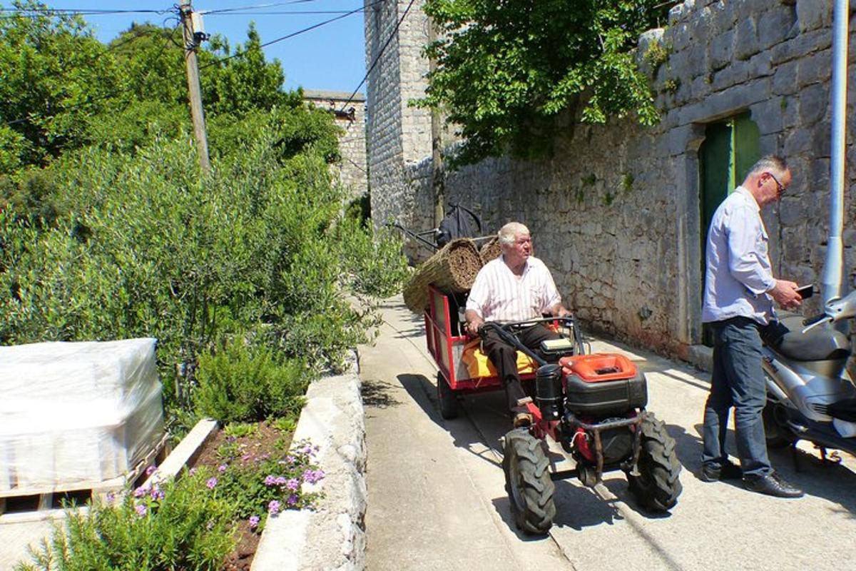 Muž jede traktorem a muž stojí