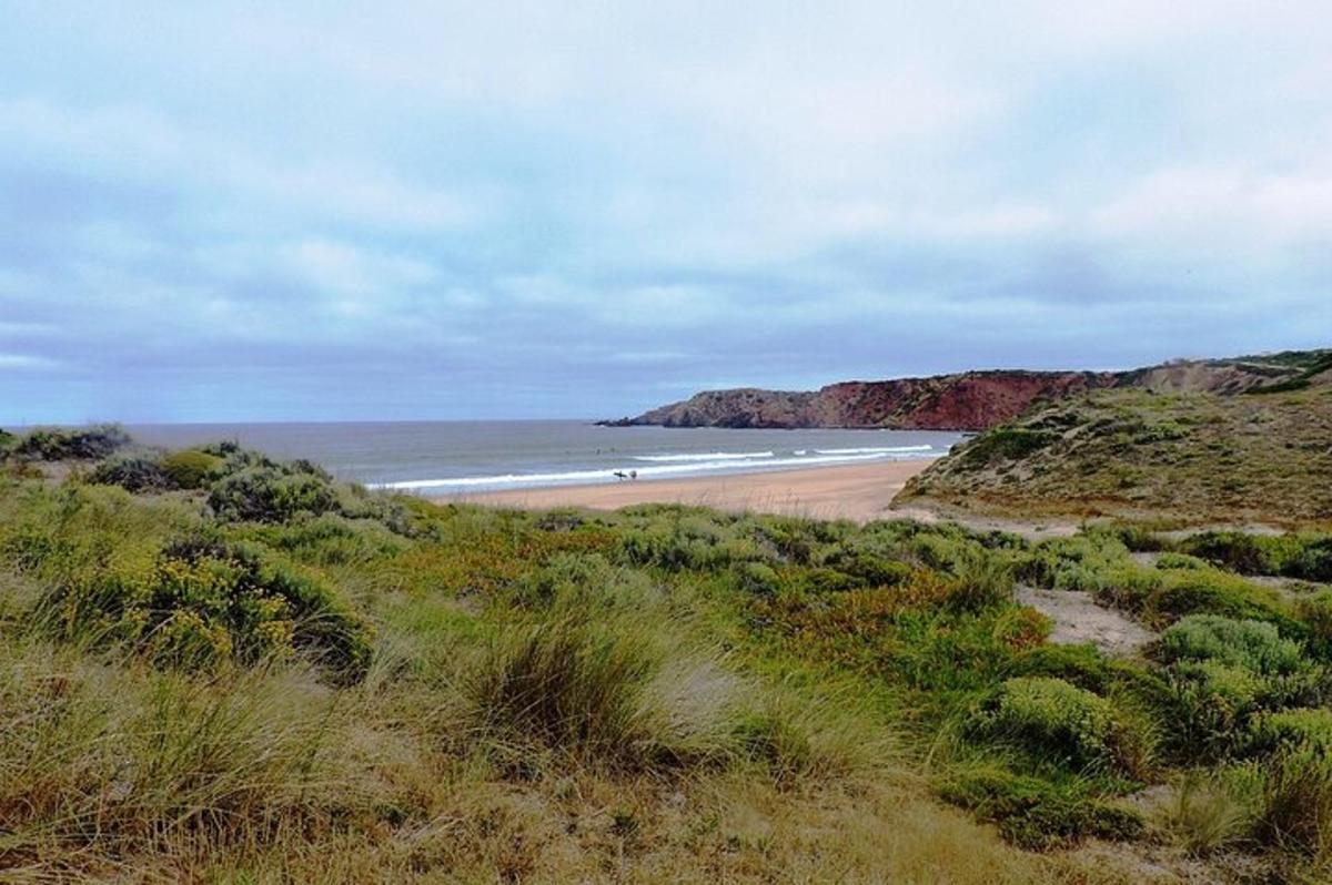 a beach with people on the sand and the ocean