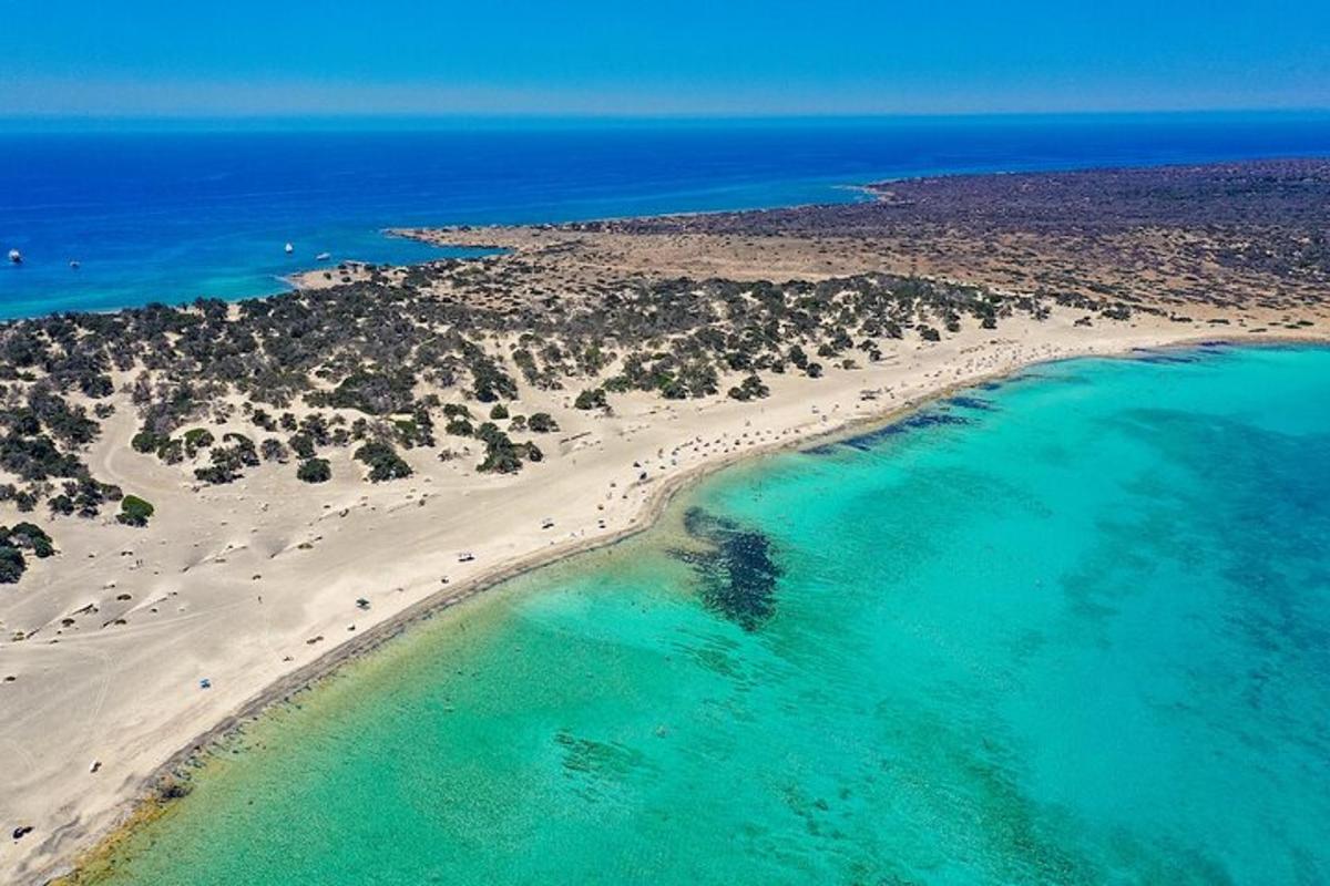 uma vista aérea de uma praia de areia e do oceano
