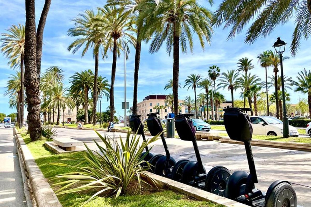 Una fila de parquímetros junto a una calle con palmeras