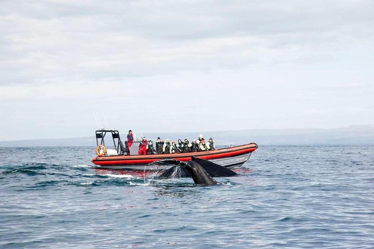 un grup de persones en un vaixell a l'aigua