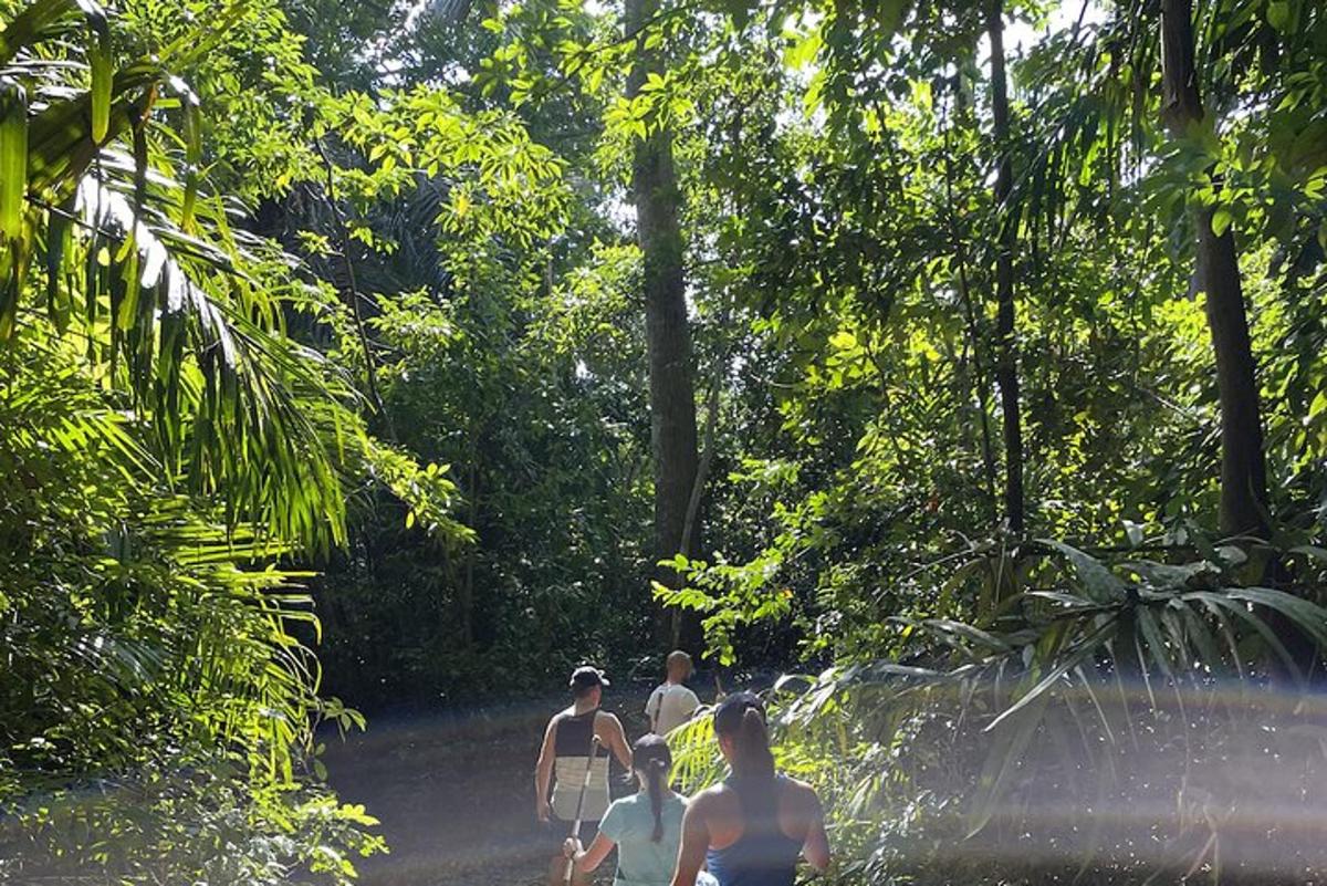 Un grupo de personas caminando por un sendero en la jungla.