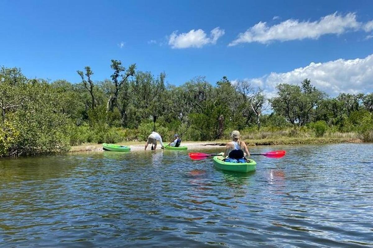 un grupo de personas en kayaks en el agua