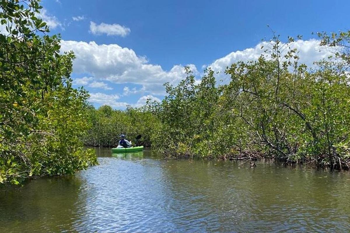 seseorang dalam sampan di sungai dengan pokok