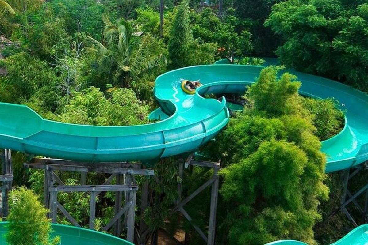 a blue slide in the middle of a forest