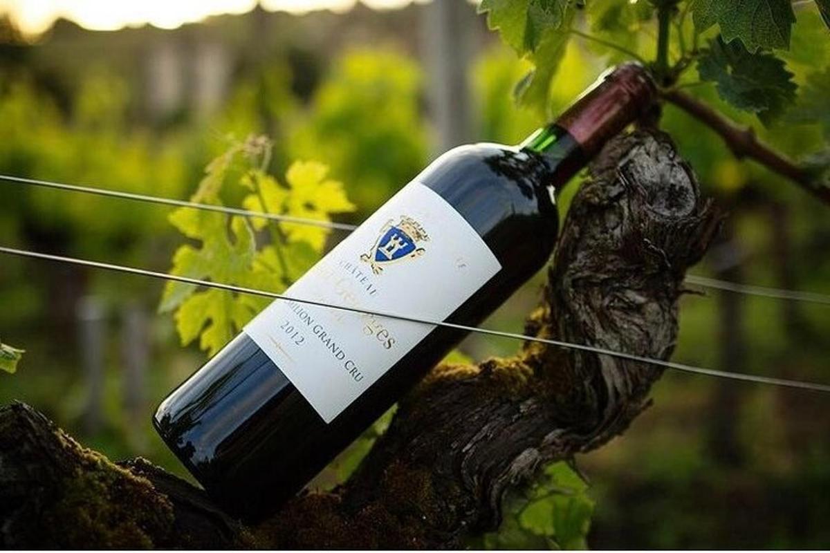 a bottle of wine sitting on a tree branch