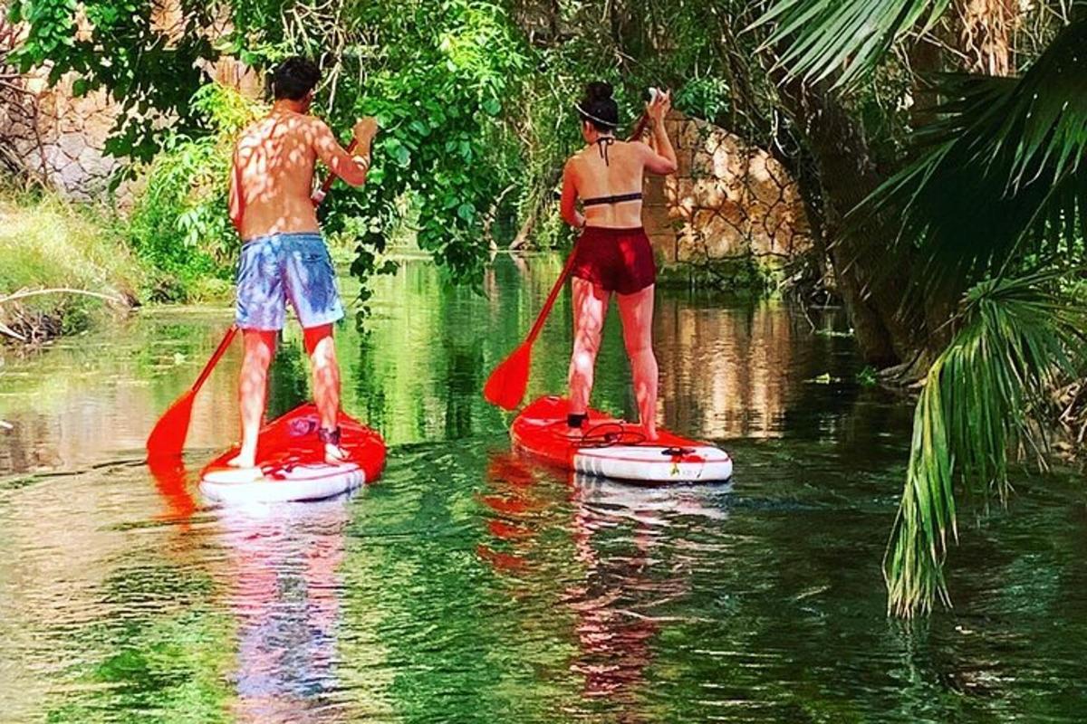 twee mannen staan op paddleboards in het water