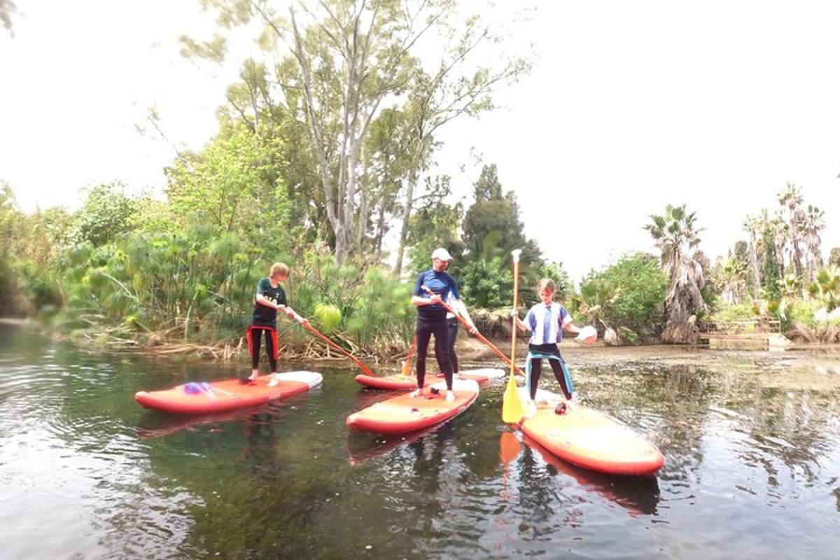 een groep mensen op paddleboards in het water