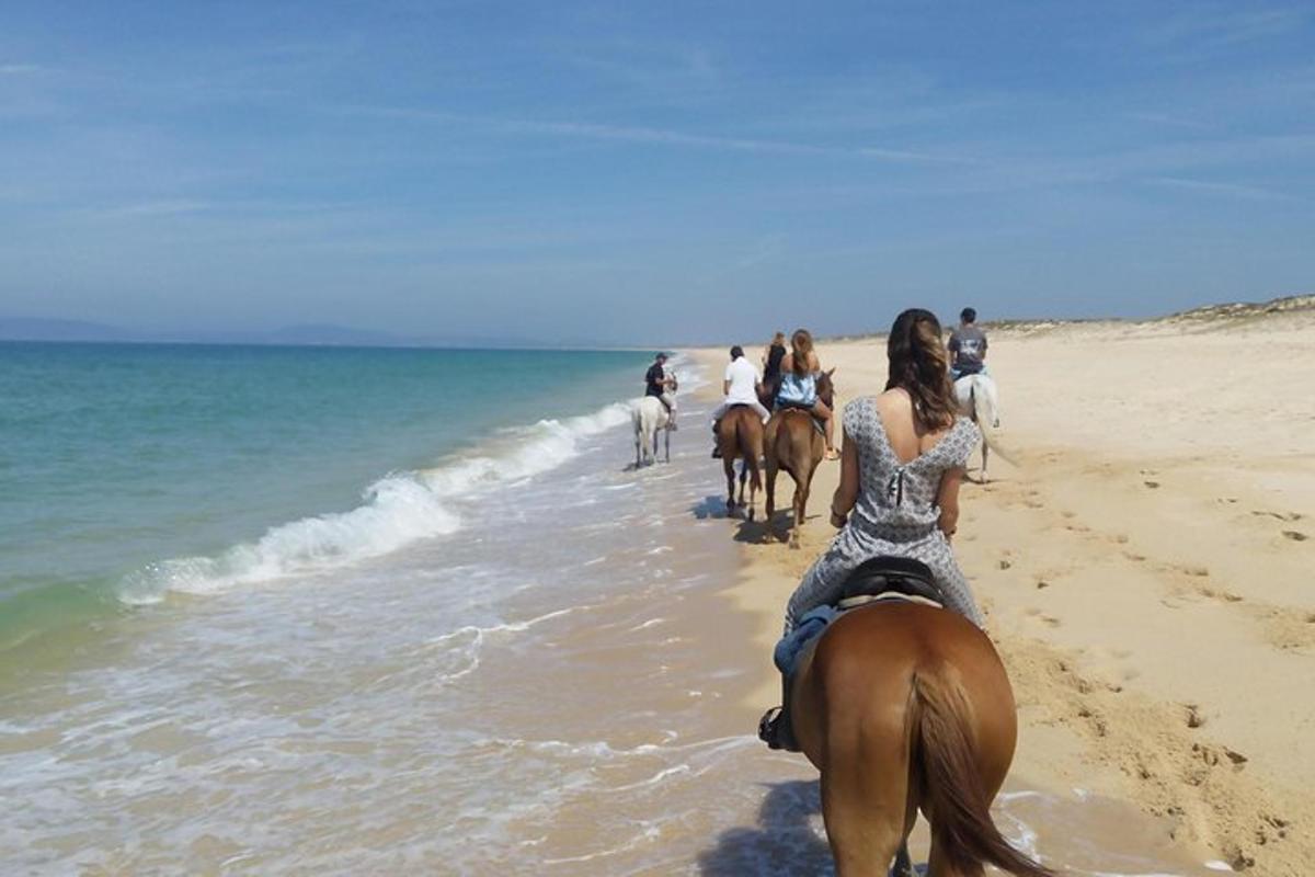 grupa ludzi jadących konno po plaży