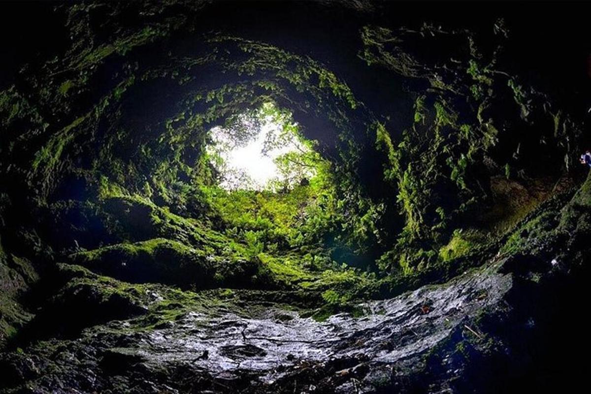 tunel naplněný vodou a zelenými rostlinami