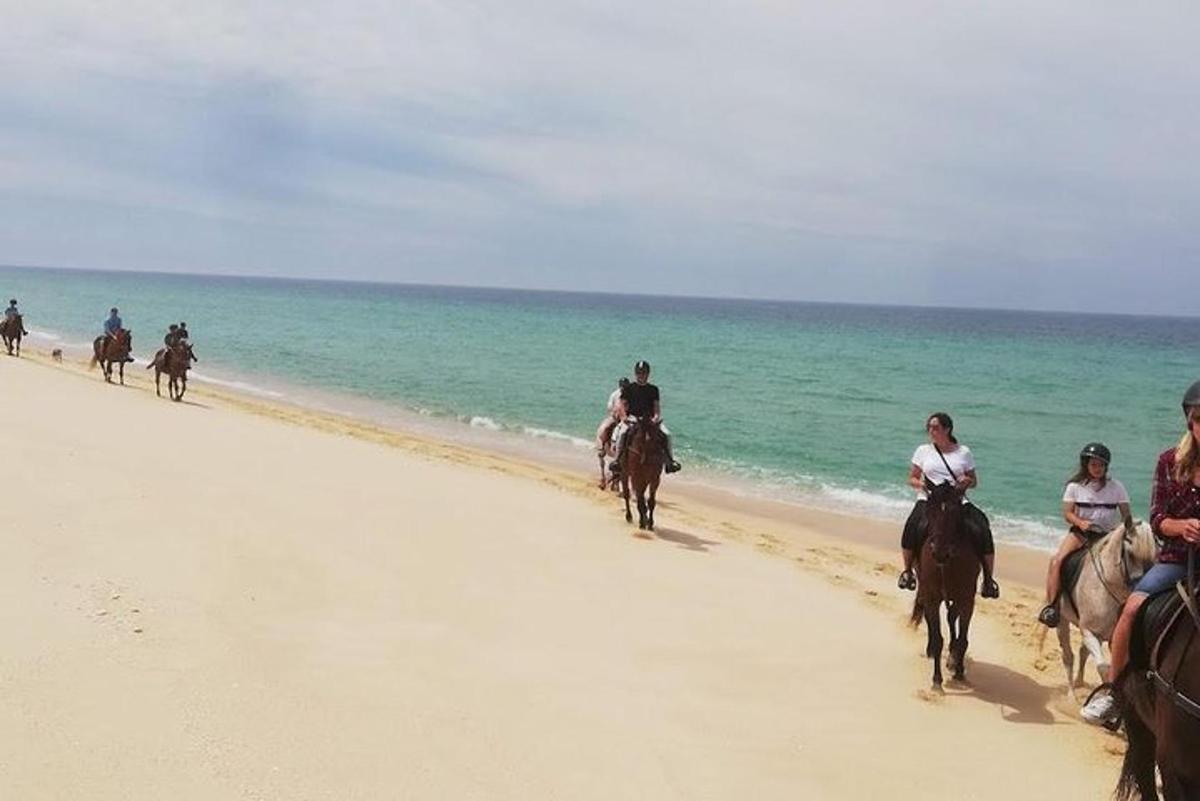 sekumpulan orang menunggang kuda di pantai