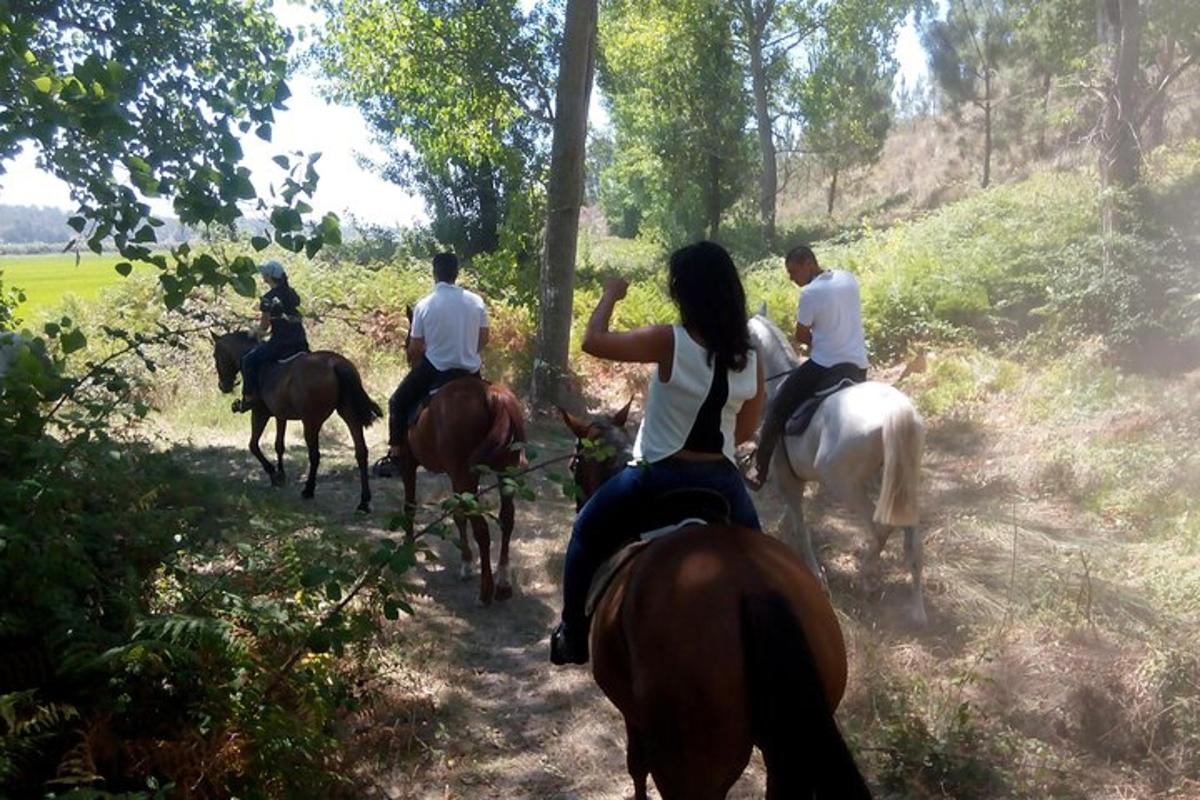 μια ομάδα ανθρώπων που ιππεύουν άλογα σε ένα μονοπάτι