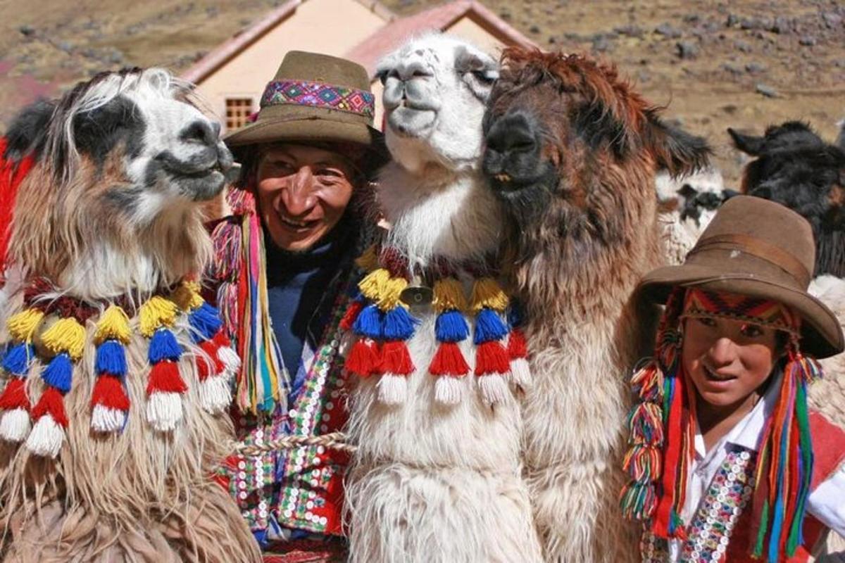 un grup de oameni îmbrăcați în costume de animale