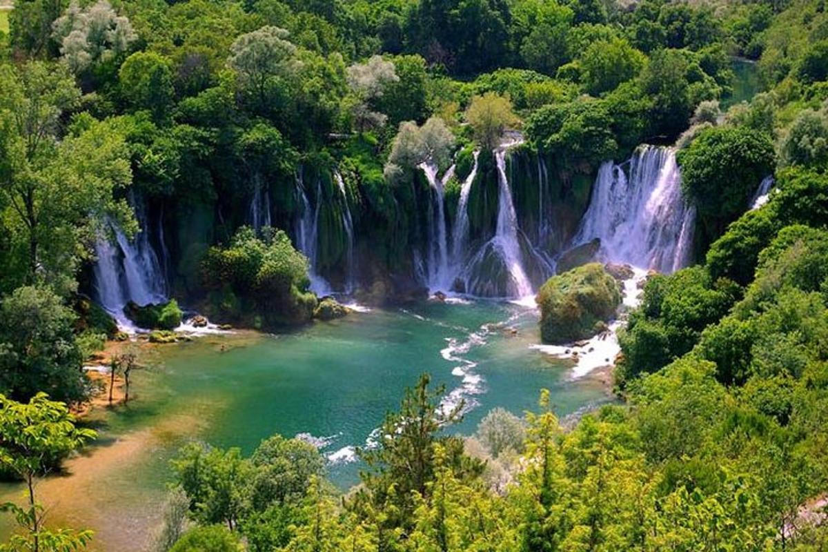 un fiume in una foresta con una cascata