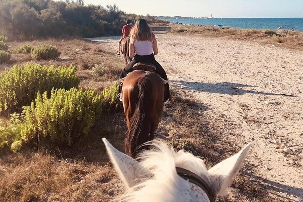 um grupo de pessoas andando a cavalo na praia