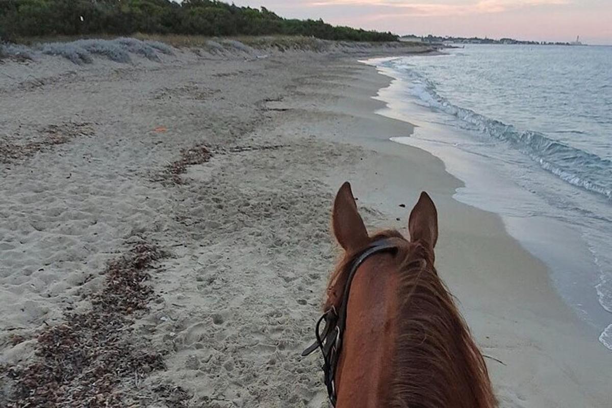een paard staand op een strand vlakbij de oceaan