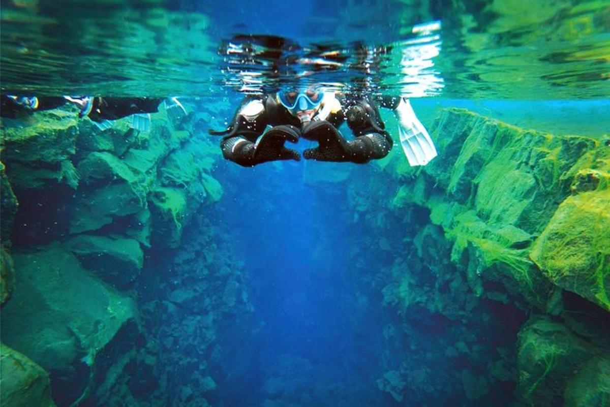 eine Person, die im Wasser eines Aquariums schwimmt