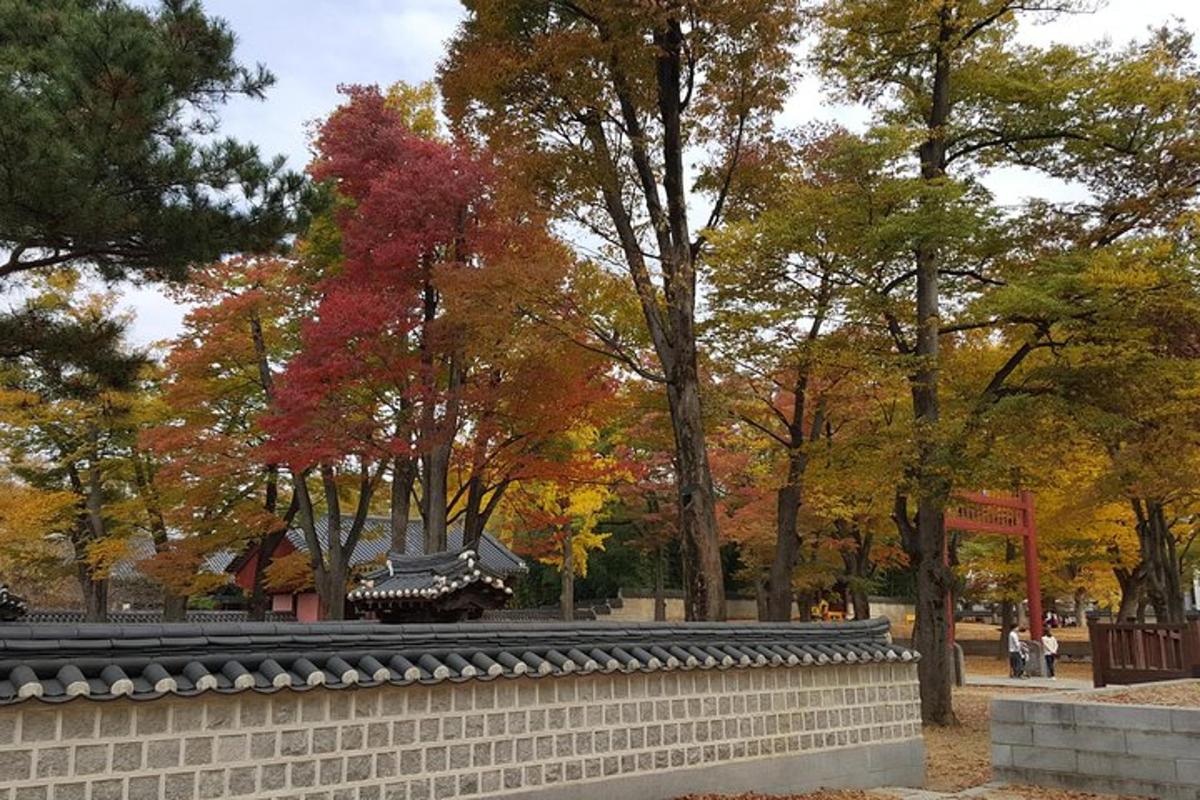 a park with colorful trees and a stone wall