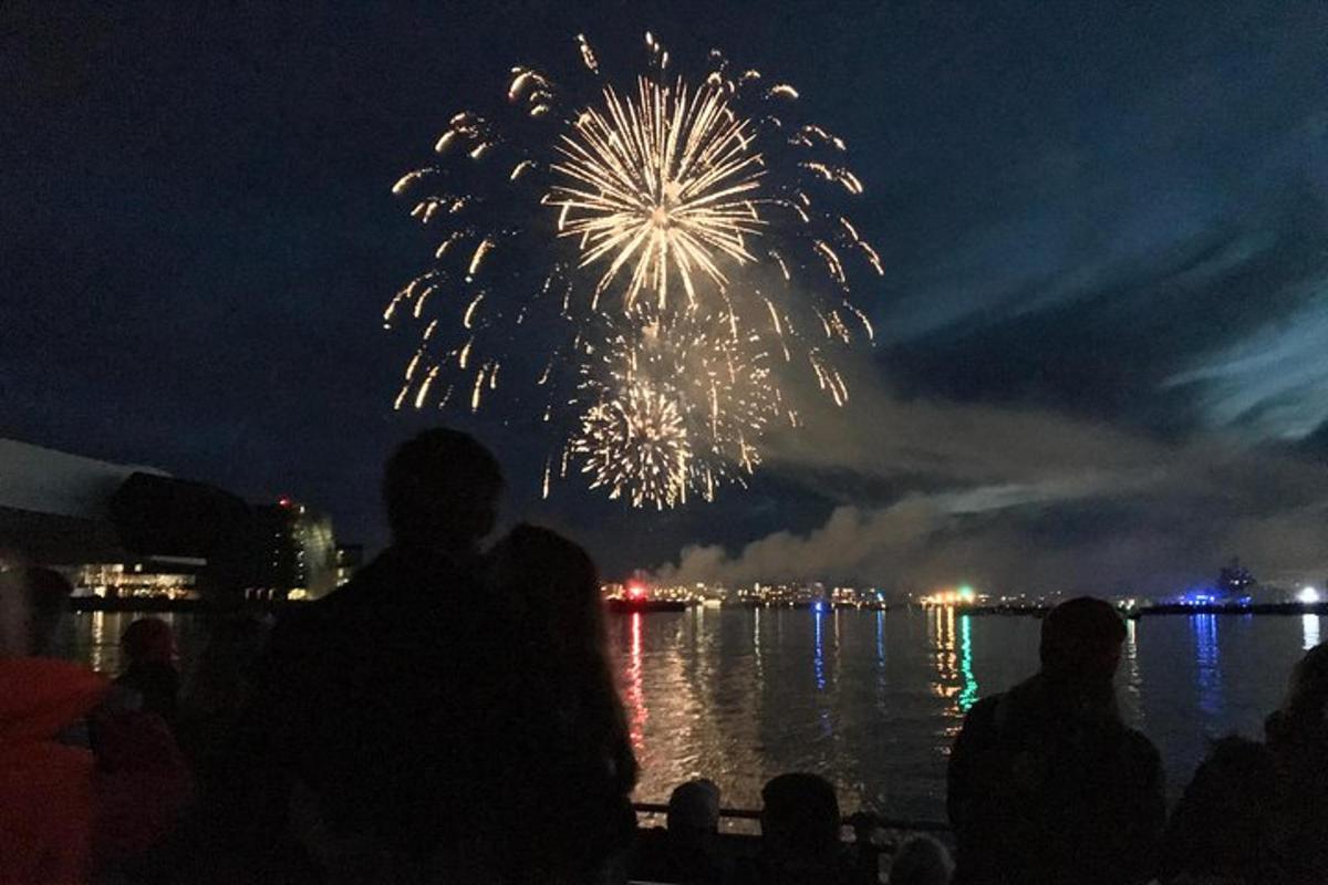 a group of people watching a fireworks display over the water