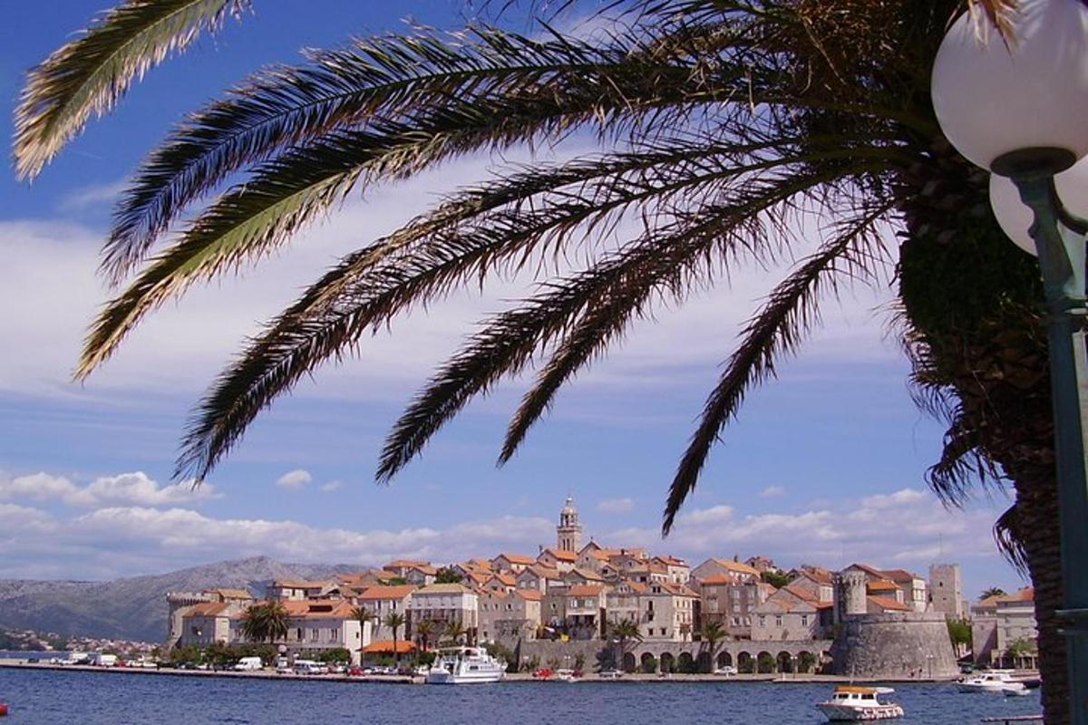 una palmera davant d'un poble a la vora de l'aigua