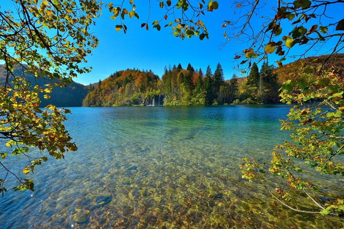 Attractiefoto 6