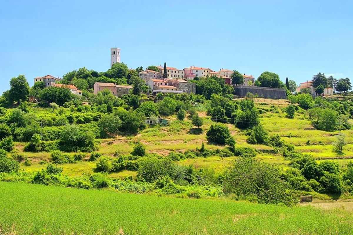 eine grüne Wiese mit einer Stadt auf einem Hügel