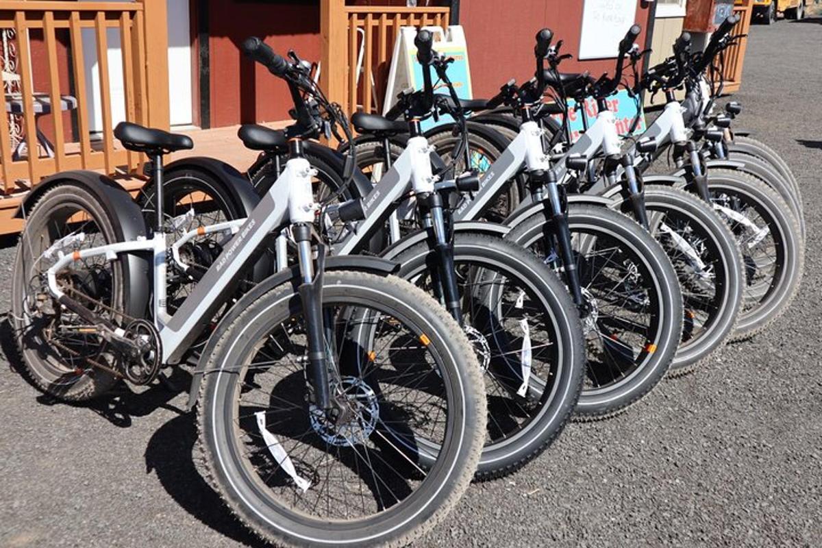 una fila di biciclette parcheggiate una accanto all'altra